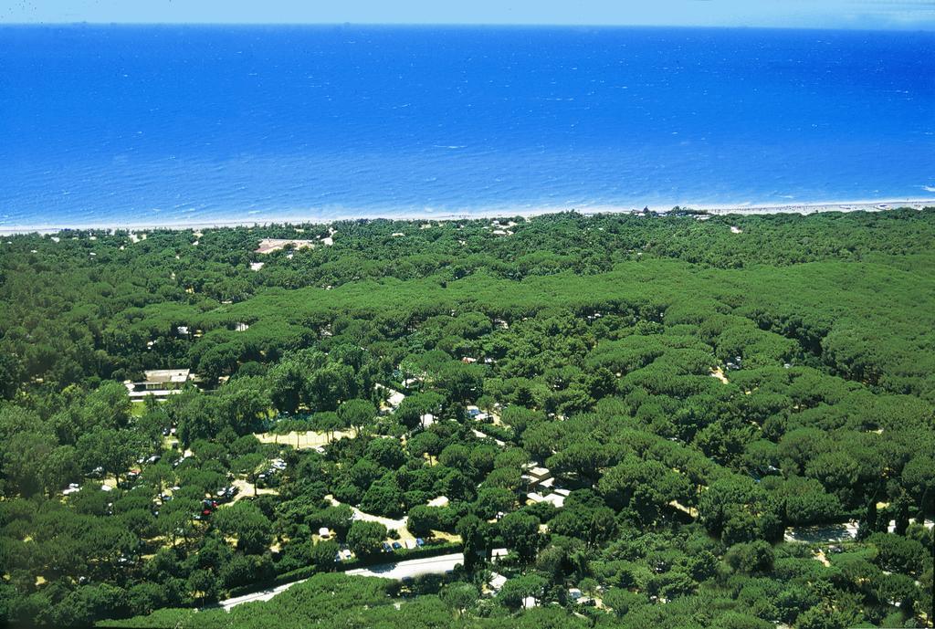Camping Village Le Esperidi Marina Di Bibbona Esterno foto