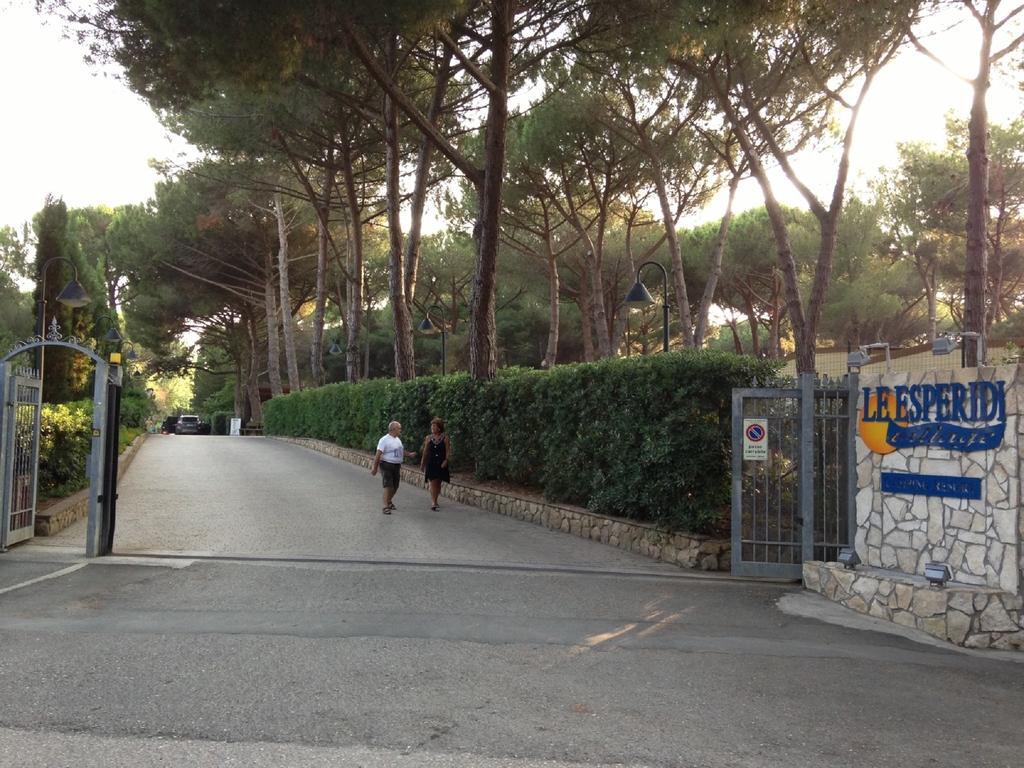 Camping Village Le Esperidi Marina Di Bibbona Esterno foto