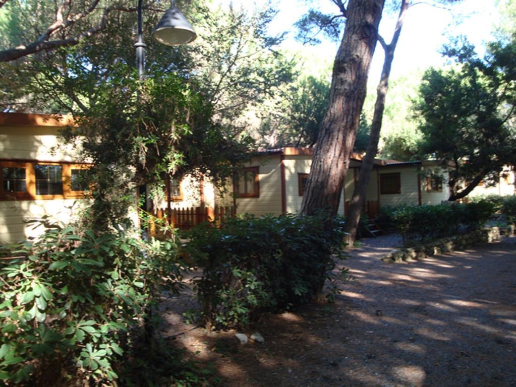 Camping Village Le Esperidi Marina Di Bibbona Esterno foto