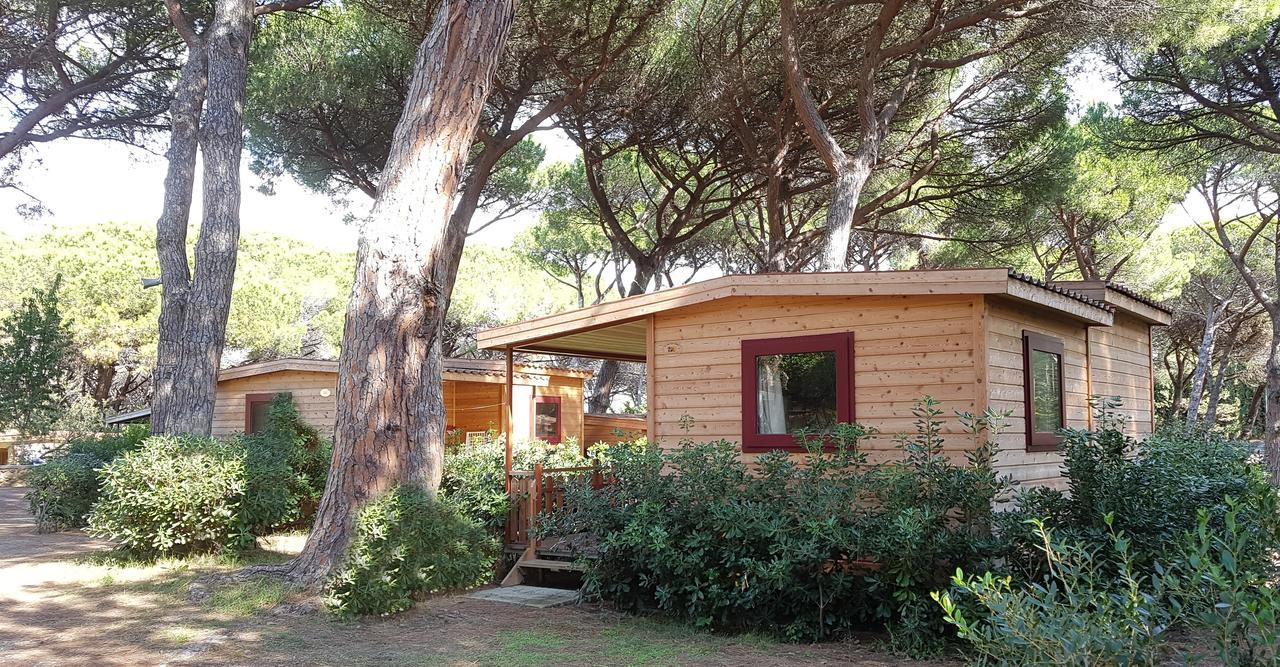 Camping Village Le Esperidi Marina Di Bibbona Esterno foto